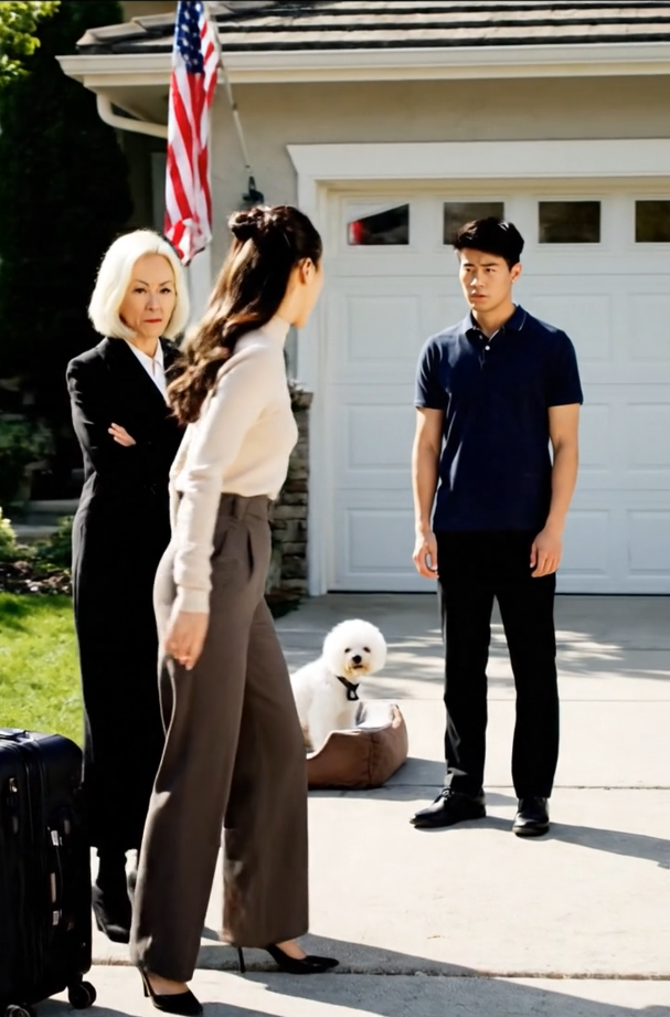 The day my husband passed away, my daughter-in-law piled my bags into the garage—unaware of the $19 million and the villa he had left me. That night, she said, “From now on, you’ll sleep in the garage.” Right beside it sat the bed for her pampered pet dog. I just smiled and replied softly, “Alright”—because she had no idea I was about to rewrite the rules. By the time she realized it… everything had already shifted.