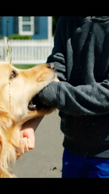 野良犬が小さな男の子の袖に食らいついた瞬間、私たちの完璧な袋小路はパニックに陥った。破れた布地が、オーククリークの誰も見たくない真実を露わにするまでは。すると、震える子供は私を見て、「お願い…私を隠して」とささやいた。銀色のBMWがすでに通りに入ってきており、降りてきた男は何事もなかったかのように微笑んでいた。